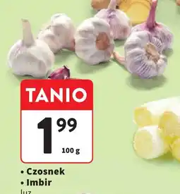 Intermarche Czosnek oferta