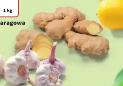 Intermarche Imbir oferta