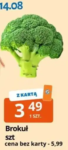 E.Leclerc Brokuł oferta