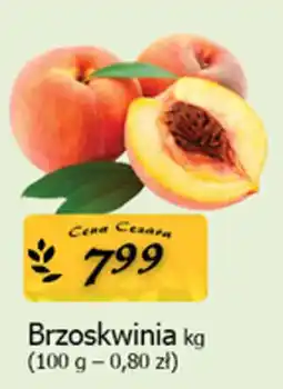 Cezar Delikatesy Brzoskwinia oferta