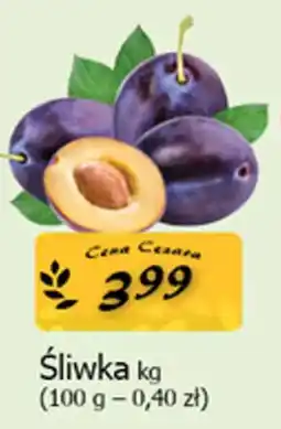 Cezar Delikatesy Śliwka oferta