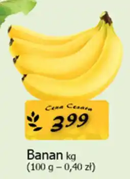Cezar Delikatesy Banan oferta