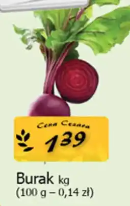 Cezar Delikatesy Burak oferta
