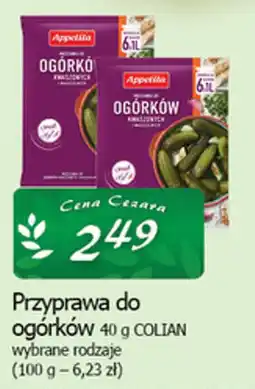 Cezar Delikatesy Przyprawa do ogórków 40 g COLIAN oferta