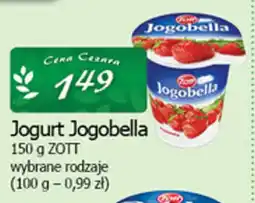 Cezar Delikatesy Jogurt Jogobella oferta