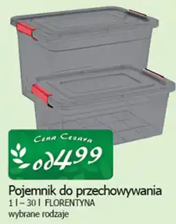 Cezar Delikatesy Pojemnik do przechowywania FLORENTYNA oferta