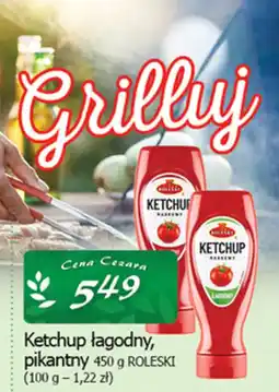 Cezar Delikatesy Ketchup łagodny, pikantny ROLESKI oferta