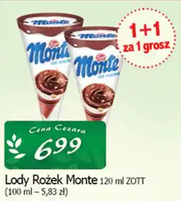 Cezar Delikatesy Lody Rożek Monte oferta