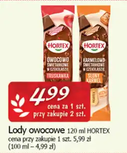 Cezar Delikatesy Lody owocowe HORETEX oferta