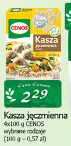 Cezar Delikatesy Kasza jęczmienna oferta