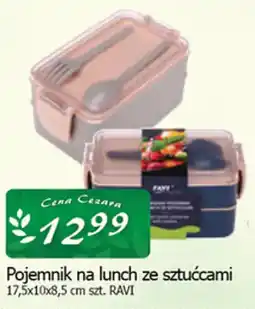 Cezar Delikatesy Pojemnik na lunch ze sztućcami RAVI oferta
