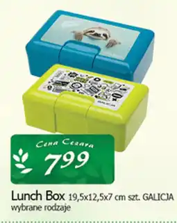 Cezar Delikatesy Lunch Box GALICJA oferta