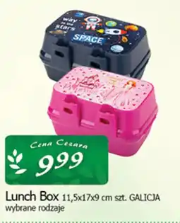 Cezar Delikatesy Lunch Box GALICJA oferta