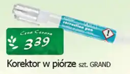 Cezar Delikatesy Korektor w piórze szt. GRAND oferta