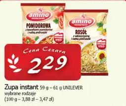 Cezar Delikatesy Zupa instant UNILEVER oferta