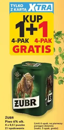 Kaufland Żubr Piwo 6% alk oferta