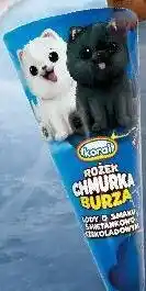 Kaufland Lody Koral Rożek Chmurka Burza oferta