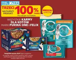Kaufland Purina One i Felix karmy dla kotów oferta