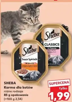 Kaufland Sheba Karma dla kotów oferta