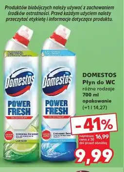 Kaufland Domestos Płyn do WC różne rodzaje oferta
