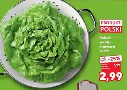 Kaufland Polska sałata masłowa sztuka oferta