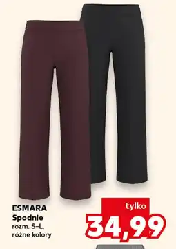 Kaufland Spodnie Esmara oferta