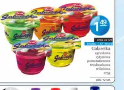 Specjał Galaretka Zott oferta