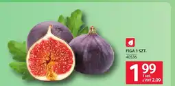 Selgros Figa oferta