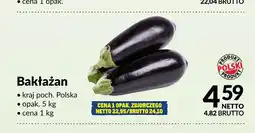 Makro Bakłażan Polska oferta