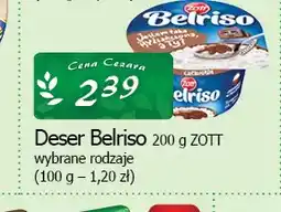 Cezar Delikatesy Deser ryżowy Belriso czekoladowy Zott oferta