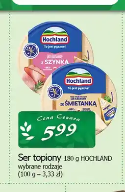 Cezar Delikatesy Ser topiony z szynką Hochland oferta
