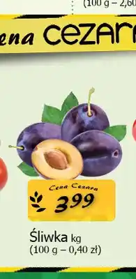 Cezar Delikatesy Śliwka oferta