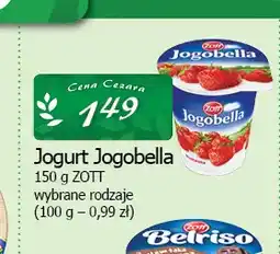 Cezar Delikatesy Jogurt Jogobella truskawkowy Zott oferta
