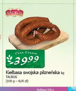 Cezar Delikatesy Kiełbasa swojska pilzneńska oferta
