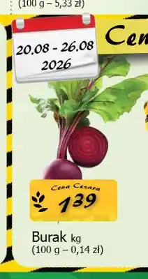 Cezar Delikatesy Burak oferta