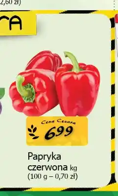 Cezar Delikatesy Papryka czerwona oferta