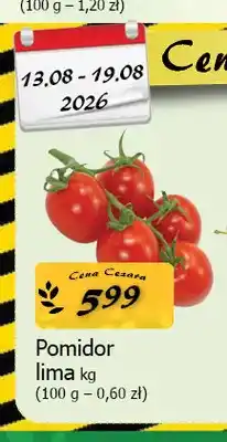 Cezar Delikatesy Pomidor lima oferta