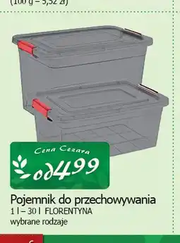 Cezar Delikatesy Pojemnik do przechowywania Florentyna oferta