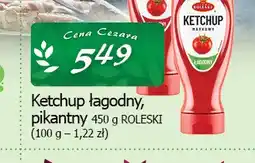 Cezar Delikatesy Ketchup łagodny Roleski oferta