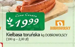 Cezar Delikatesy Kiełbasa toruńska Dobrowolscy oferta