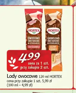 Cezar Delikatesy Lody owocowe Hortex oferta