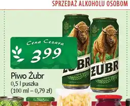 Cezar Delikatesy Piwo Żubr oferta