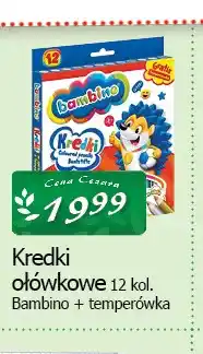 Cezar Delikatesy Kredki ołówkowe Bambino oferta