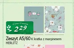 Cezar Delikatesy Zeszyt Herlitz A5 oferta