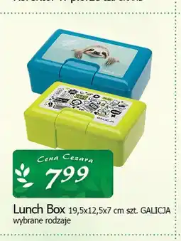Cezar Delikatesy Lunch Box Galicja oferta