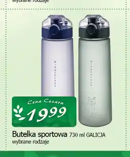 Cezar Delikatesy Butelka sportowa Galicja oferta