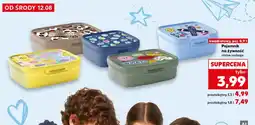 Kaufland Pojemnik oferta