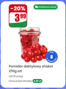 Dino Pomidor daktylowy shaker oferta