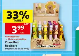 Auchan Zakreślacz oferta