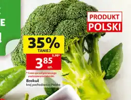Auchan Brokuł Polski oferta
